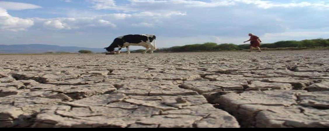 Sequía en México tiene a más de mil municipios anormalmente secos