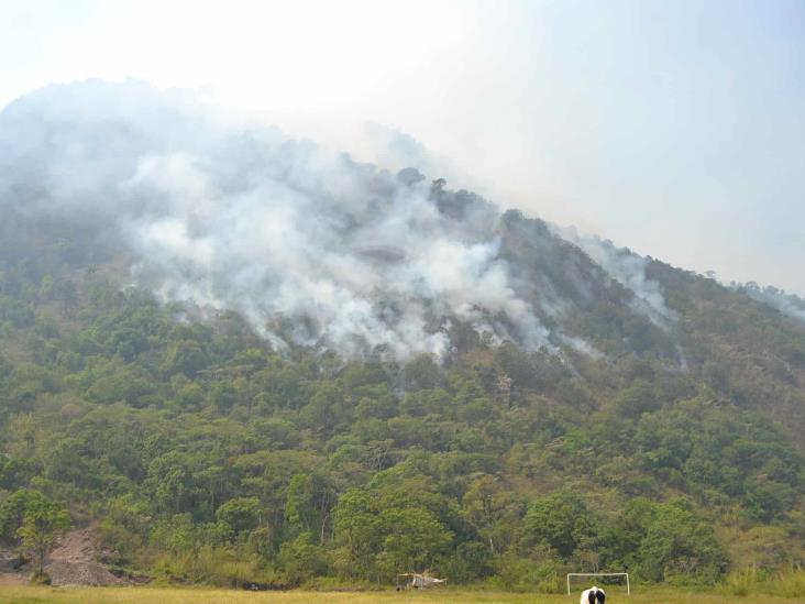 Logran apagar incendio en cerros de Rafael Delgado