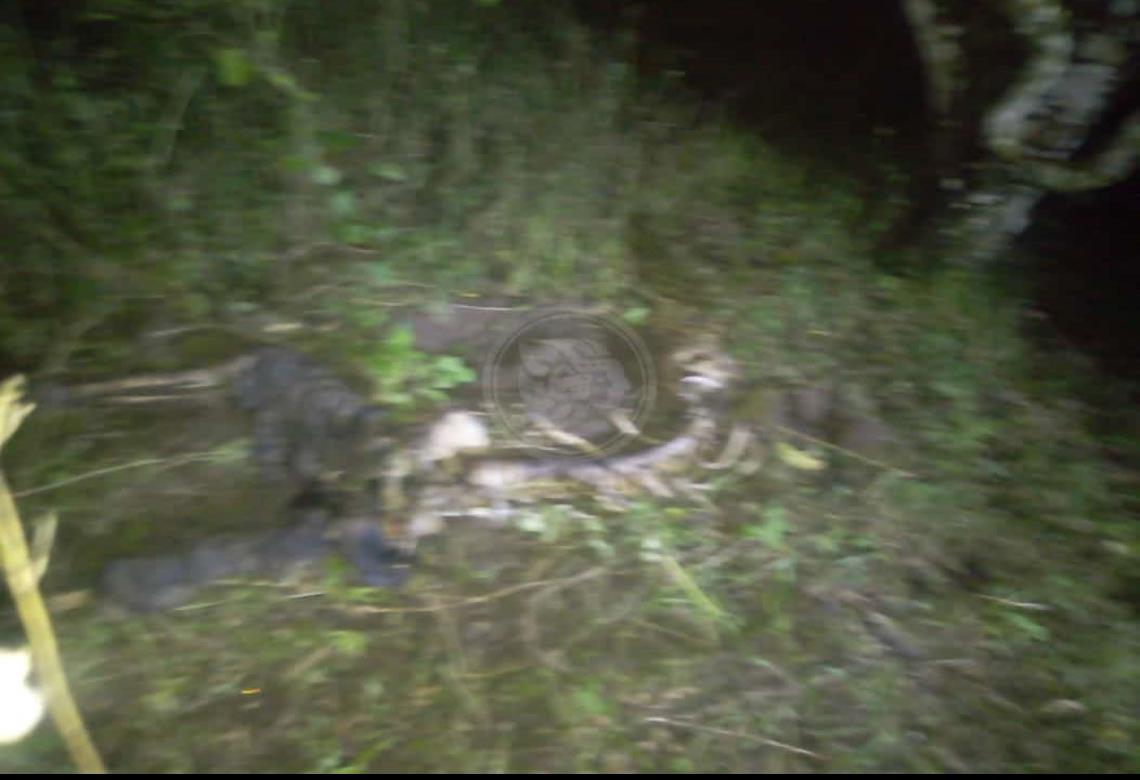 Encuentran cuerpo en estado de descomposición en carretera Martínez-San Rafael