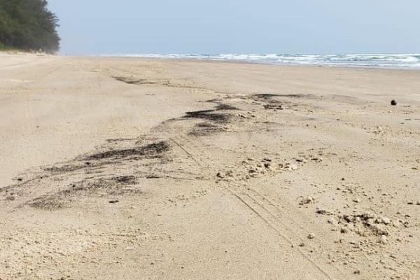 Pone Gobierno de Veracruz bajo lupa derrame en playas de Tuxpan