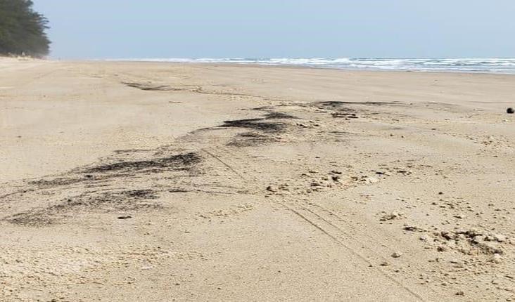 Pone Gobierno de Veracruz bajo lupa derrame en playas de Tuxpan