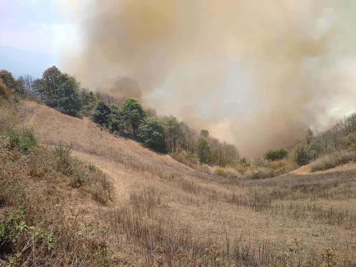 Incendio con afectaciones de casi 60 hectáreas en Acultzingo