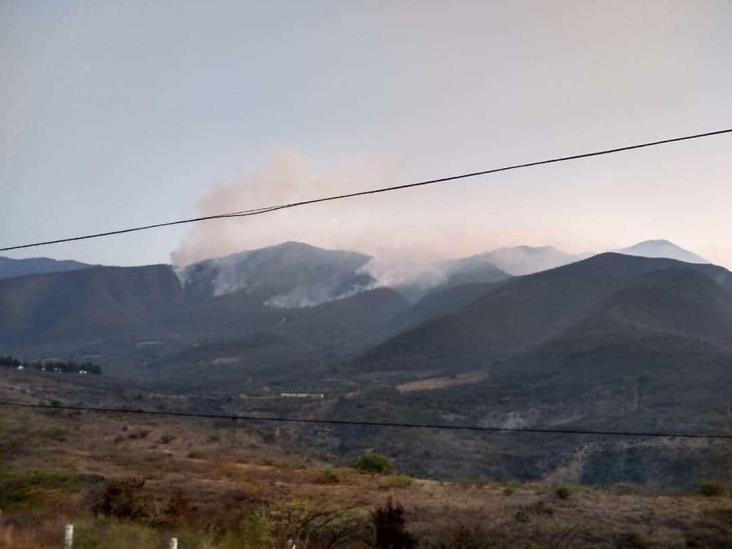 Incendio con afectaciones de casi 60 hectáreas en Acultzingo