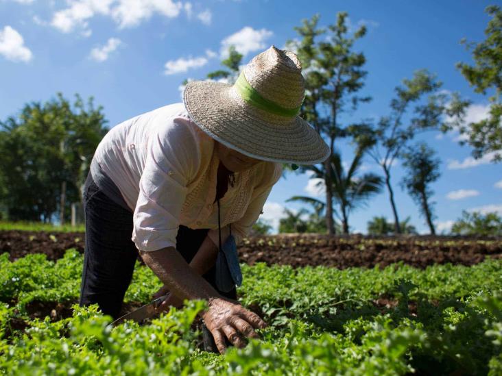 Presenta Semarnat líneas para conservación y agroecología en el Día de la Tierra