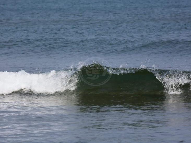 Naturaleza retoma territorio en Coatzacoalcos ante contingencia