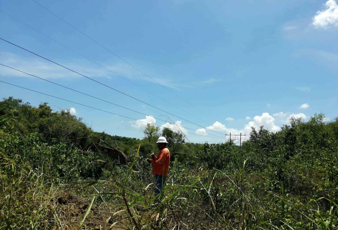 Tras altas temperaturas, ganaderos en Tuxpan preocupados por sequía