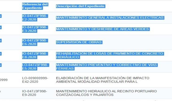 Participarán 17 empresarios locales en 5 licitaciones de Apicoat