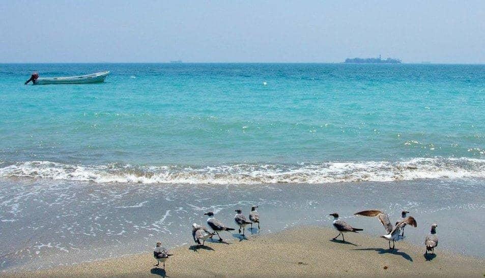 Ante ausencia de turistas, playas de Veracruz lucen tonos turquesa