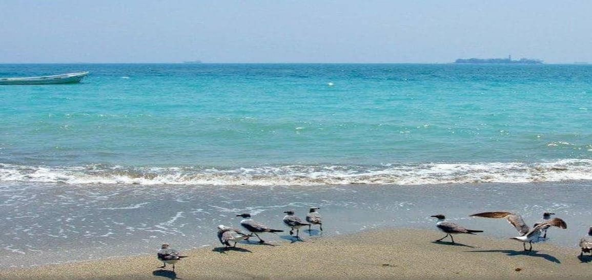 Ante ausencia de turistas, playas de Veracruz lucen tonos turquesa