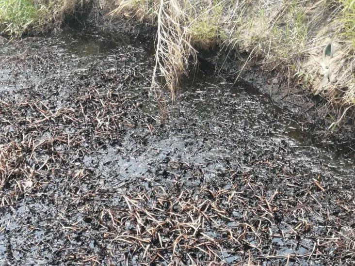 Contaminación del arroyo Gopalapa no ha sido saneada