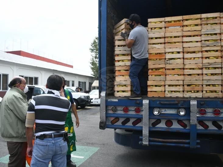 Pandemia pega a productores de mango de Veracruz