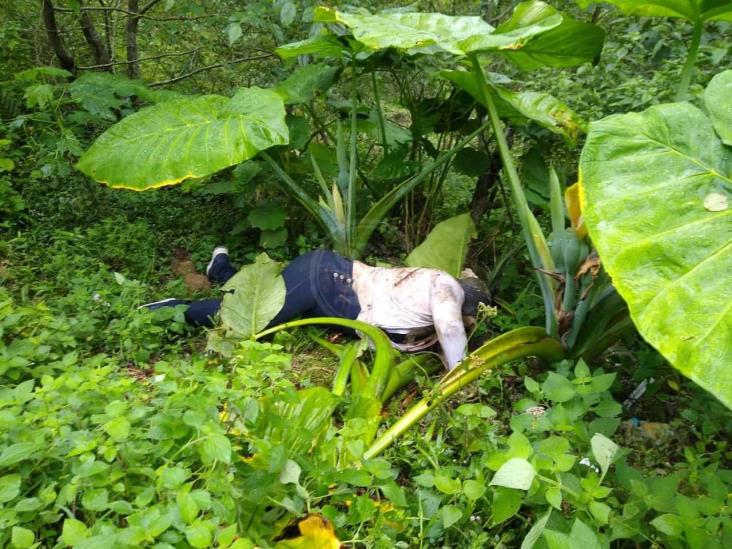 Hallan cuerpos con huellas de violencia junto a carretera Misantla-Xalapa