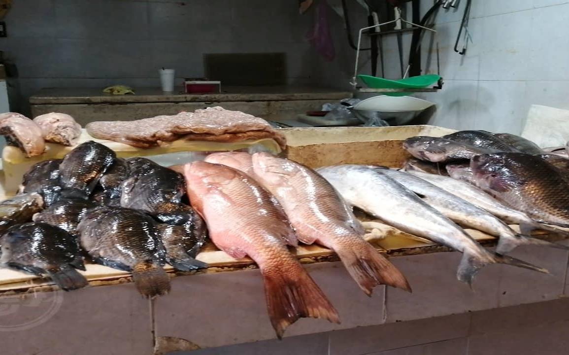 Por pandemia, mariscos del sur de Veracruz no llegan a otros estados