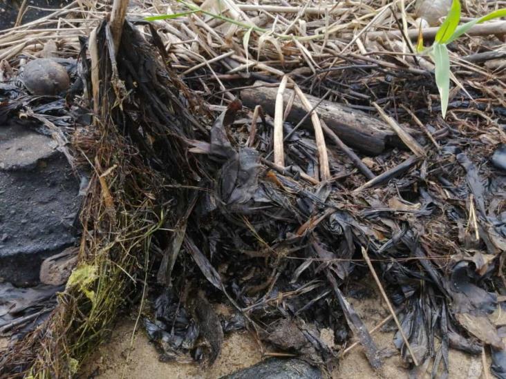 Observan lirio cubierto de crudo en el río Coatzacoalcos