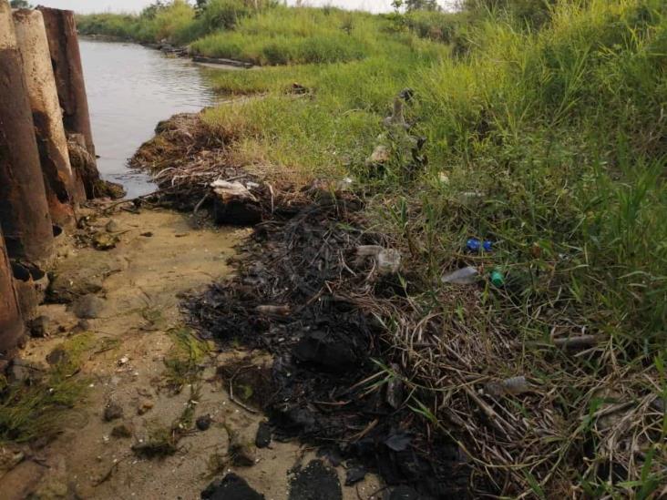 Observan lirio cubierto de crudo en el río Coatzacoalcos