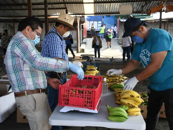 Impulsan mercado interno para vainilla, plátano, mango y litchi en Veracruz