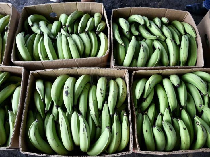 Impulsan mercado interno para vainilla, plátano, mango y litchi en Veracruz