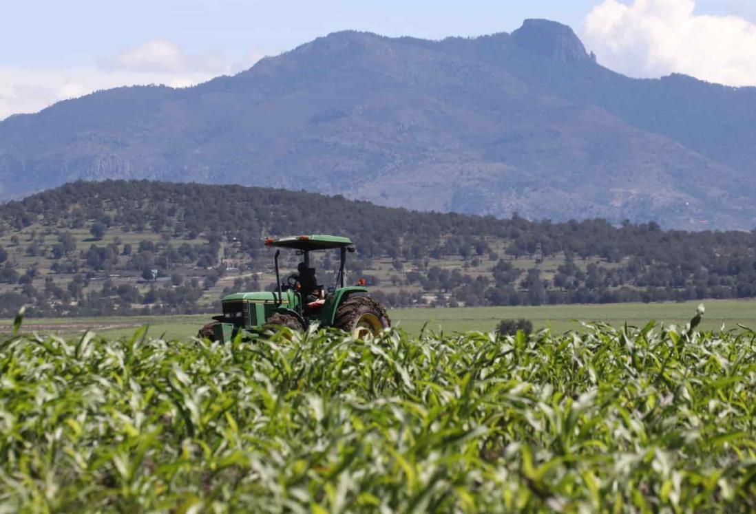 Coyotaje oficial y desatención afectan al agro de Veracruz, acusan