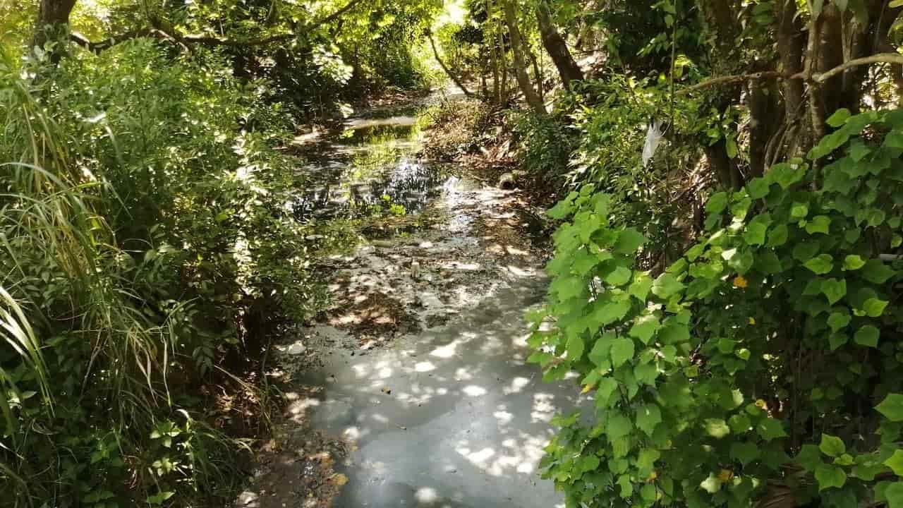 Derrame en arroyo Chichigapa causa malestar en pobladores