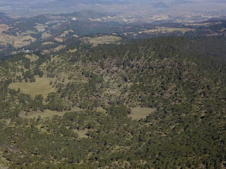 Latente, conflicto por taladores de Puebla que depredan Veracruz