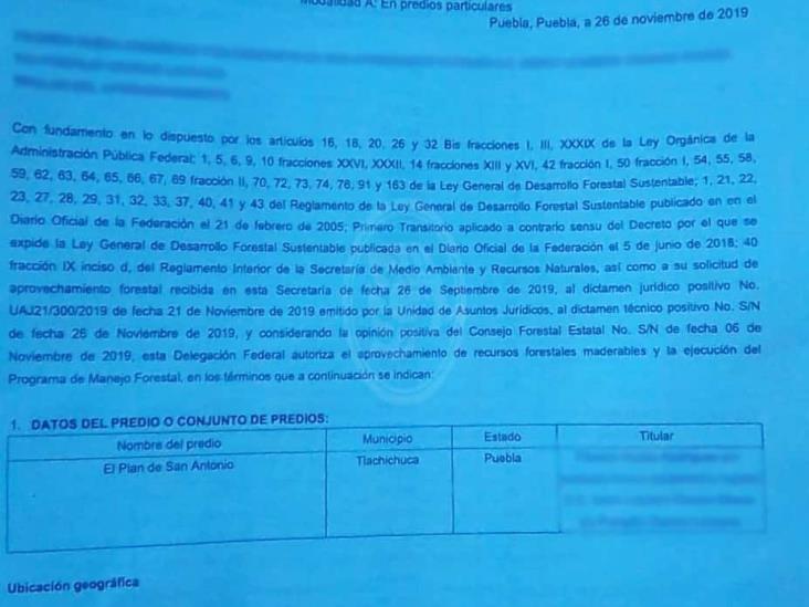 Latente, conflicto por taladores de Puebla que depredan Veracruz