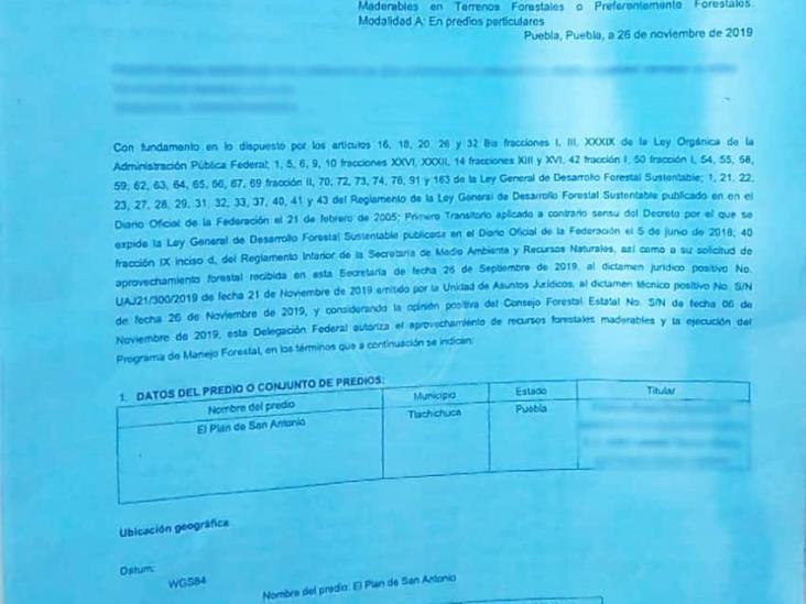 Latente, conflicto por taladores de Puebla que depredan Veracruz