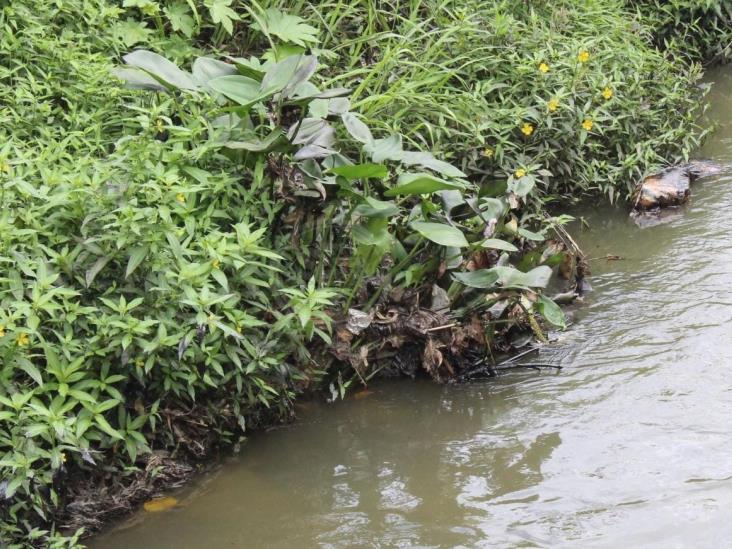 Desechos de Pemex y empresas contaminan arroyos en Poza Rica