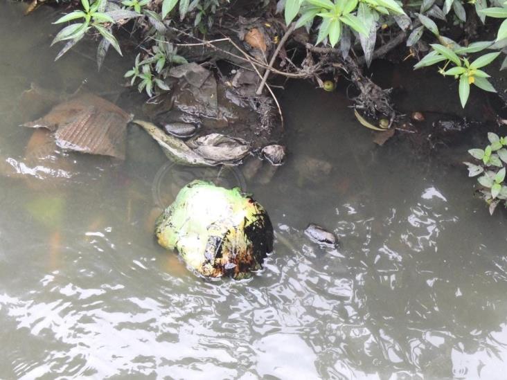 Desechos de Pemex y empresas contaminan arroyos en Poza Rica