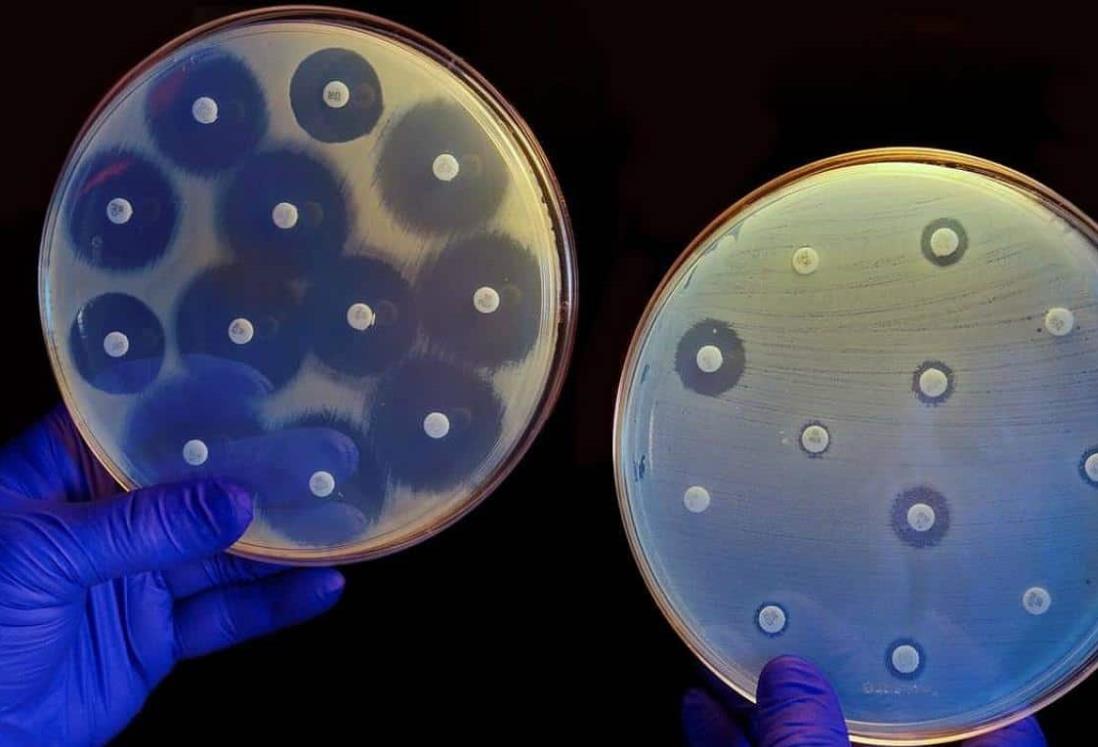 Bacterias muestran resistencia a antibióticos en diversos países: OMS