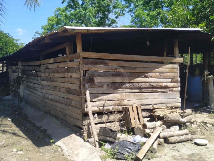 Cárcel para los más peligrosos, rodeada de indígenas marginados y pobreza en Papantla