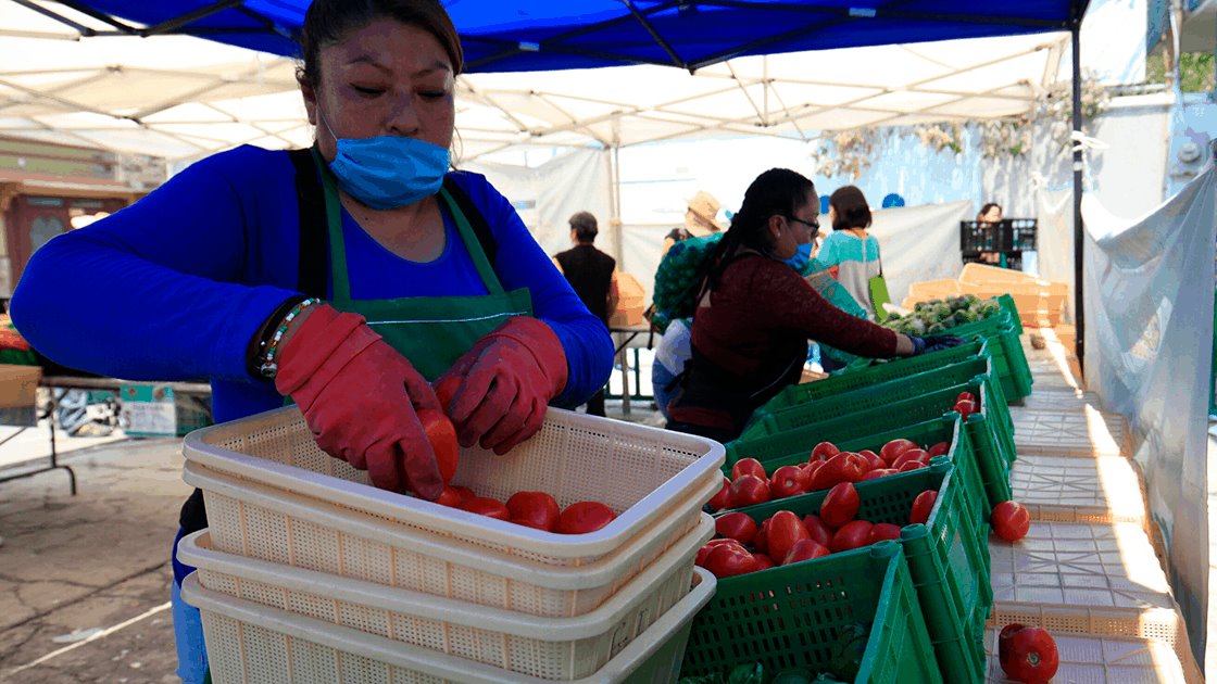 Alerta ONU de una “crisis alimentaria mundial” a causa del coronavirus