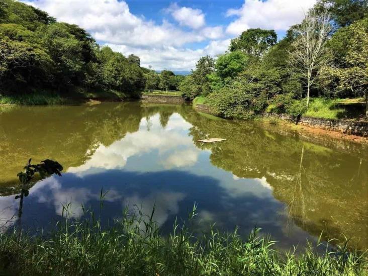 Rastrean en ex asilo de ancianos y Parque Natura ‘cementerio clandestino’ en Veracruz