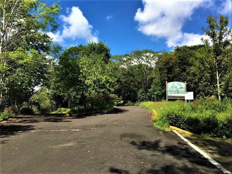 Rastrean en ex asilo de ancianos y Parque Natura ‘cementerio clandestino’ en Veracruz