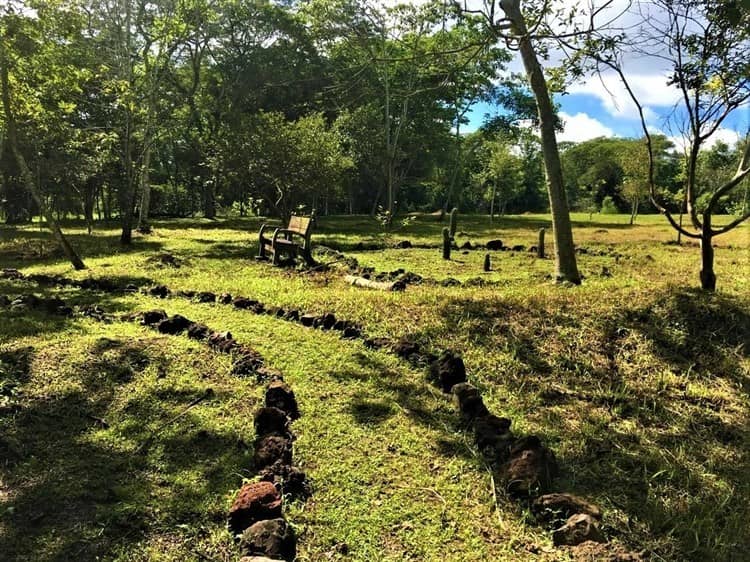 Rastrean en ex asilo de ancianos y Parque Natura ‘cementerio clandestino’ en Veracruz