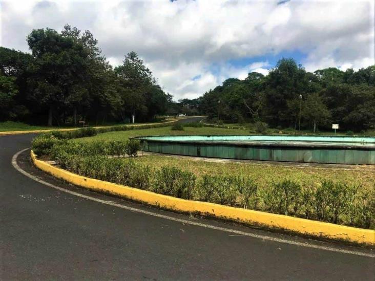 Rastrean en ex asilo de ancianos y Parque Natura ‘cementerio clandestino’ en Veracruz