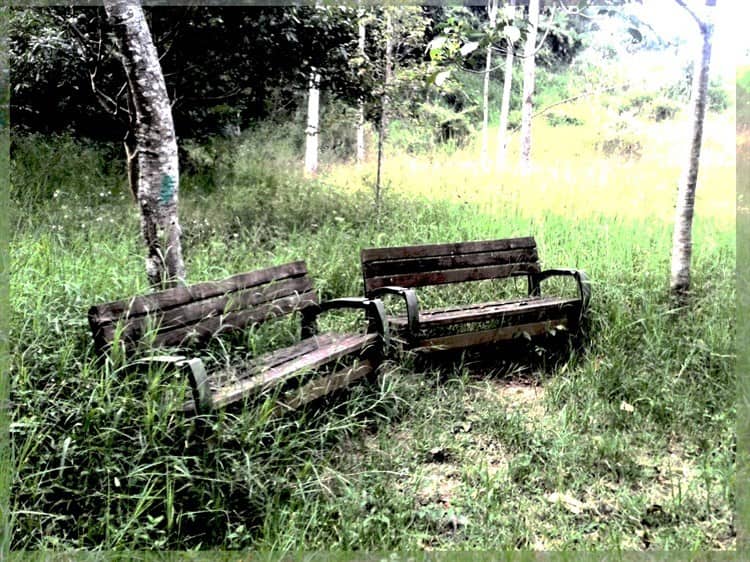 Rastrean en ex asilo de ancianos y Parque Natura ‘cementerio clandestino’ en Veracruz