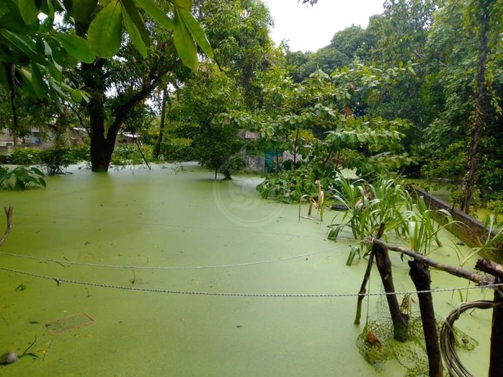 Inundaciones en casas tras aguaceros en Poza Rica y Tihuatlán