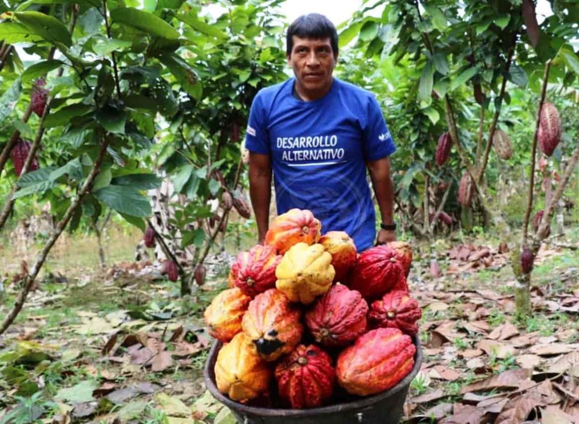 Problema con productores en Ixhuatlán del Café, por coyotes’, afirma Cuitláhuac