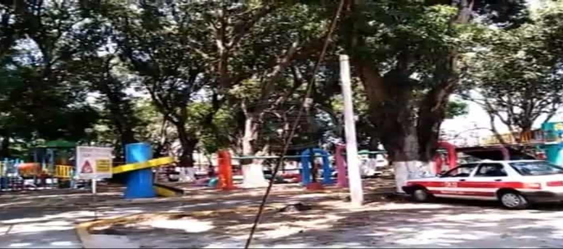 Salvan a la niña lesionada por caída de una rama