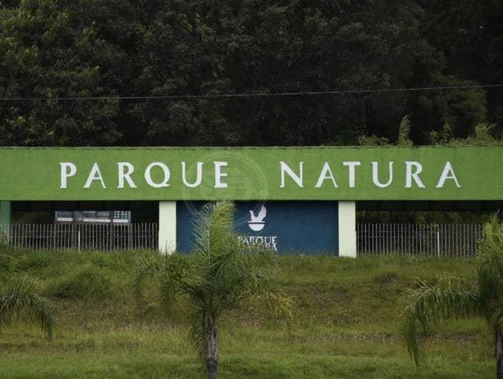 ¡No te olvides de asistir! Este sábado, Mercado Natura en Xalapa