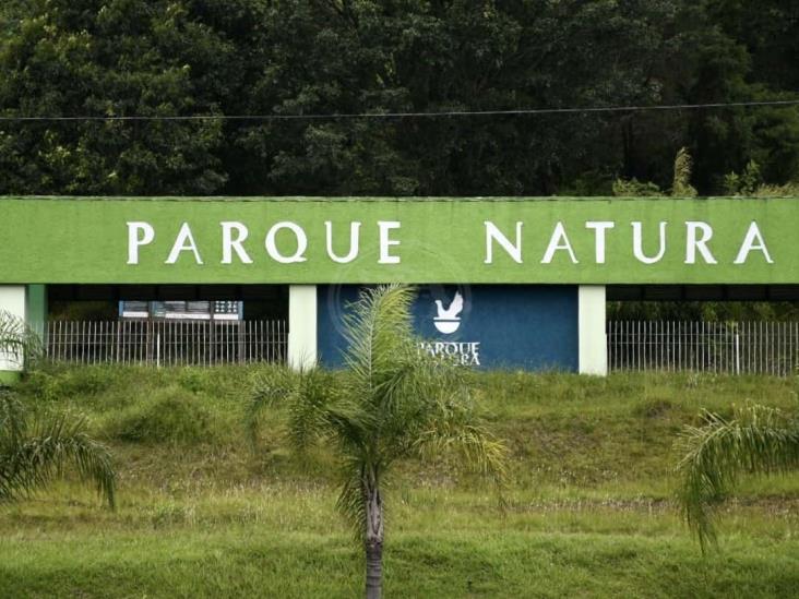 SOS a FGR y CNB para rastrear panteón clandestino en Estancia Garnica y Parque Natura