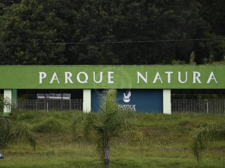 SOS a FGR y CNB para rastrear panteón clandestino en Estancia Garnica y Parque Natura