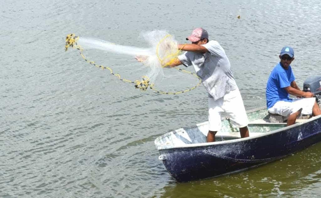 ¿Cuándo inicia el pago de Bienpesca a pescadores de Veracruz?