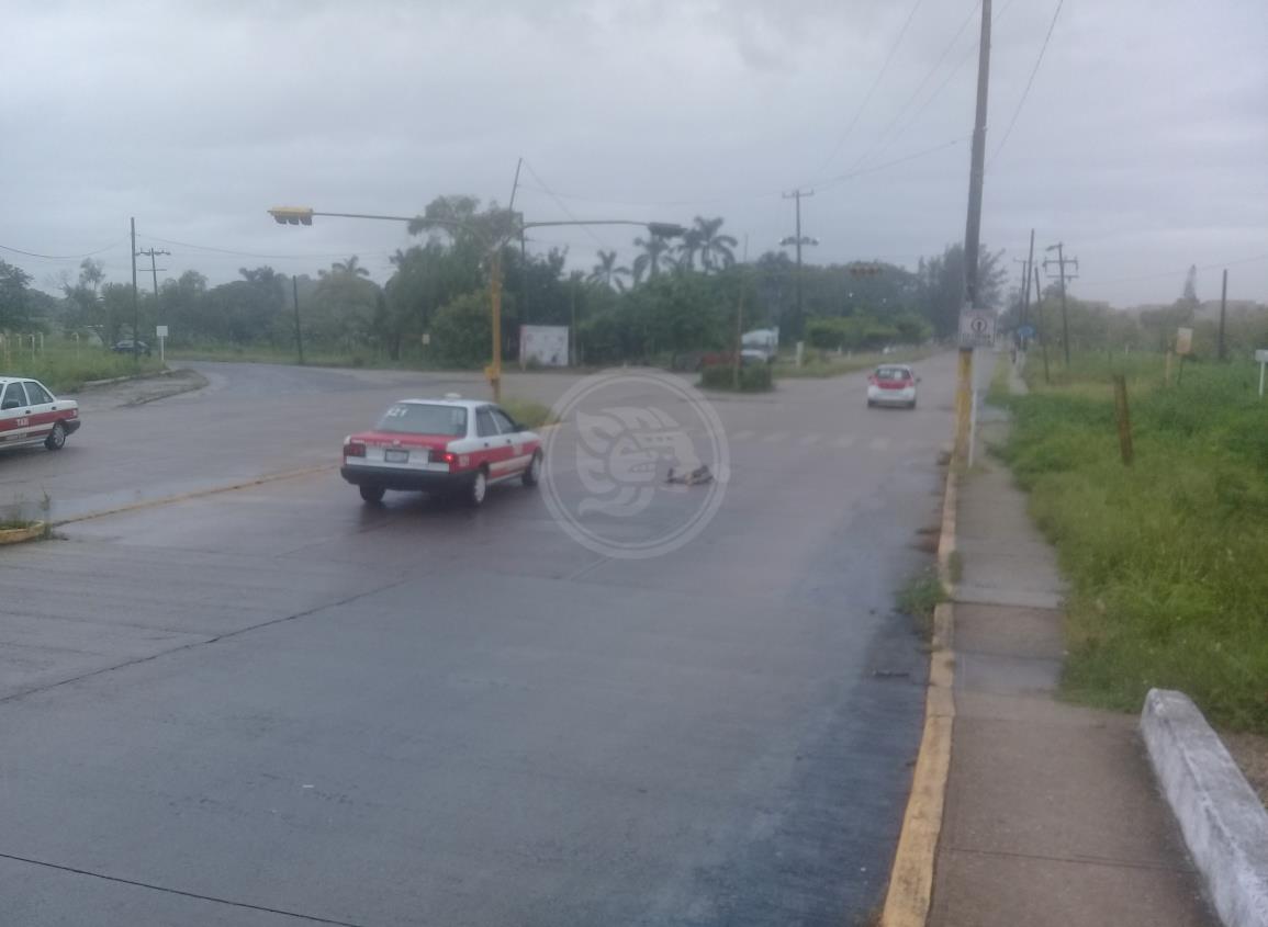 Tercos taxistas de Nanchital siguen sin usar cubrebocas