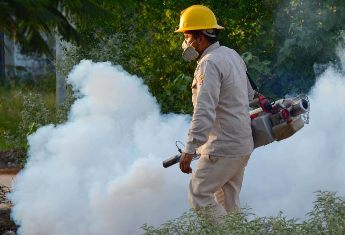 Supera Jalisco a Veracruz como el estado con más casos de dengue