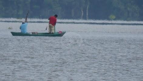 Familias de pescadores se alimentan del producto que no logran vender