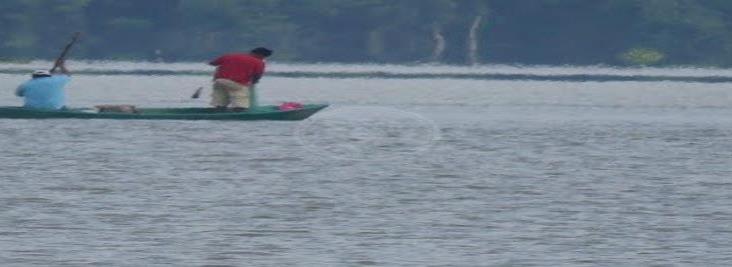 Familias de pescadores se alimentan del producto que no logran vender