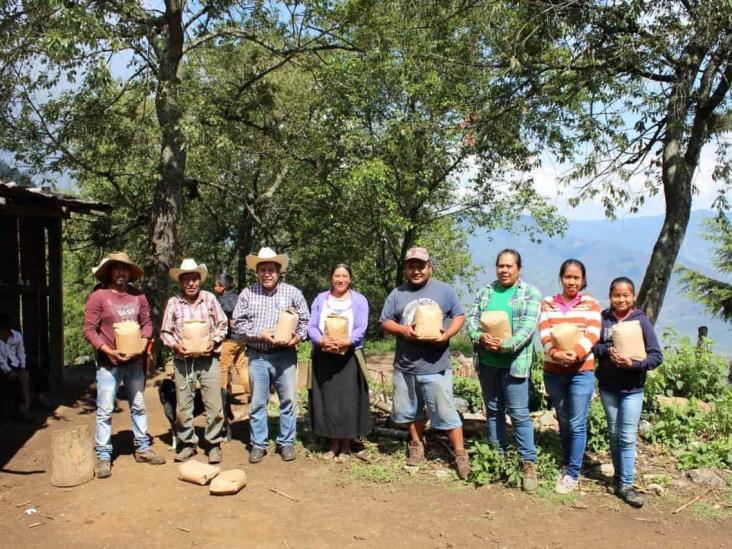 Entregan semilla mejorada a campesinos de Ciudad Mendoza