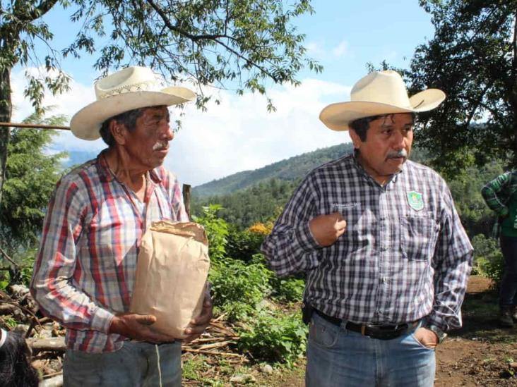 Entregan semilla mejorada a campesinos de Ciudad Mendoza