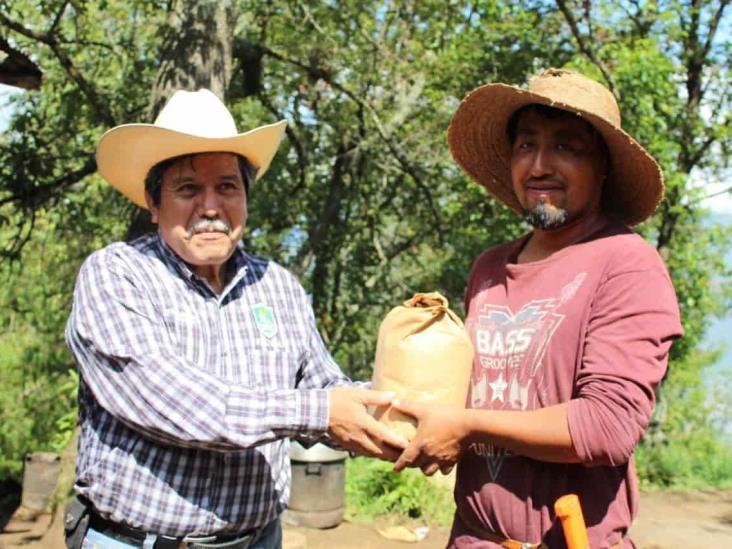 Entregan semilla mejorada a campesinos de Ciudad Mendoza